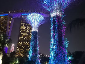 Is a layover in Singapore worth it? What to do in 6, 12, or 24 hours