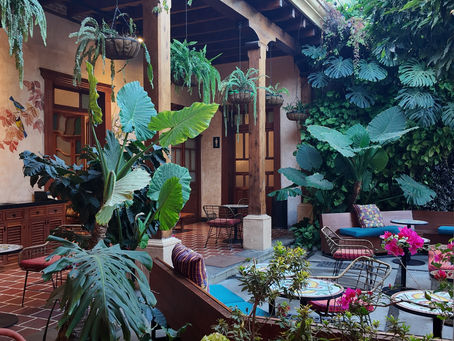 Where to eat in Antigua, Guatemala: the ultimate food & cafe guide (not just for solo travellers)