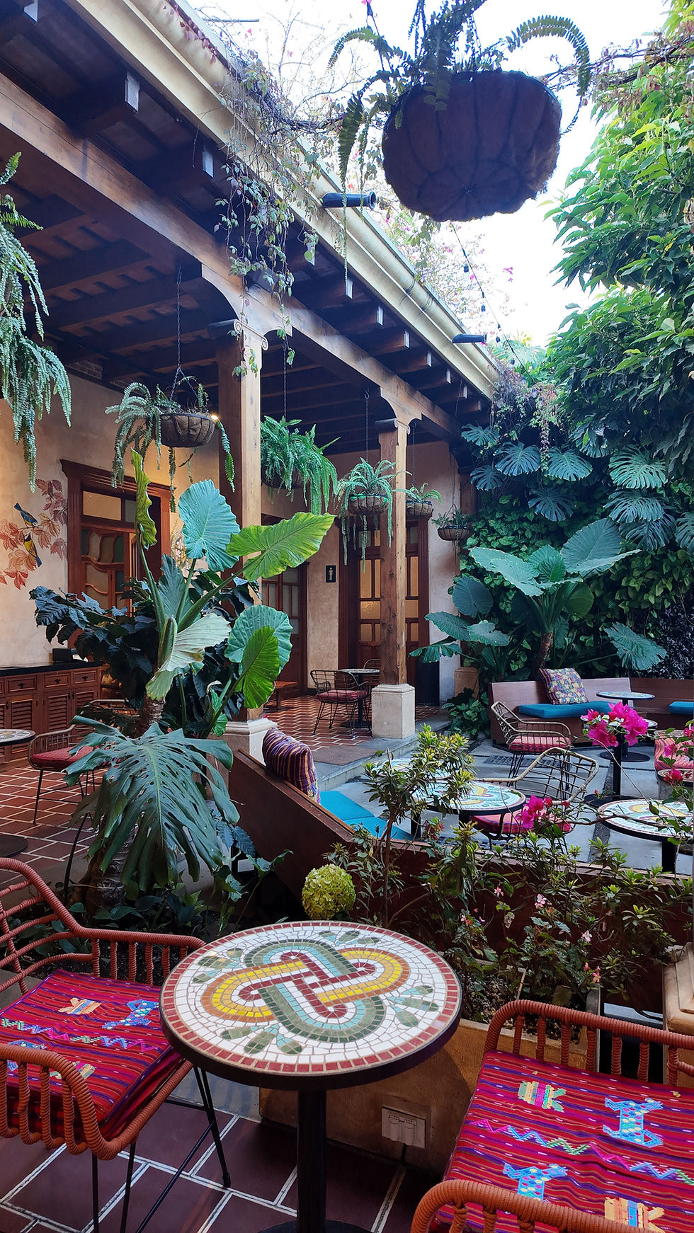 Where to eat in Antigua, Guatemala: the ultimate food & cafe guide (not just for solo travellers)