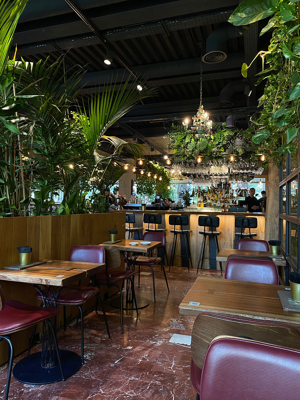 Tirana solo travel guide