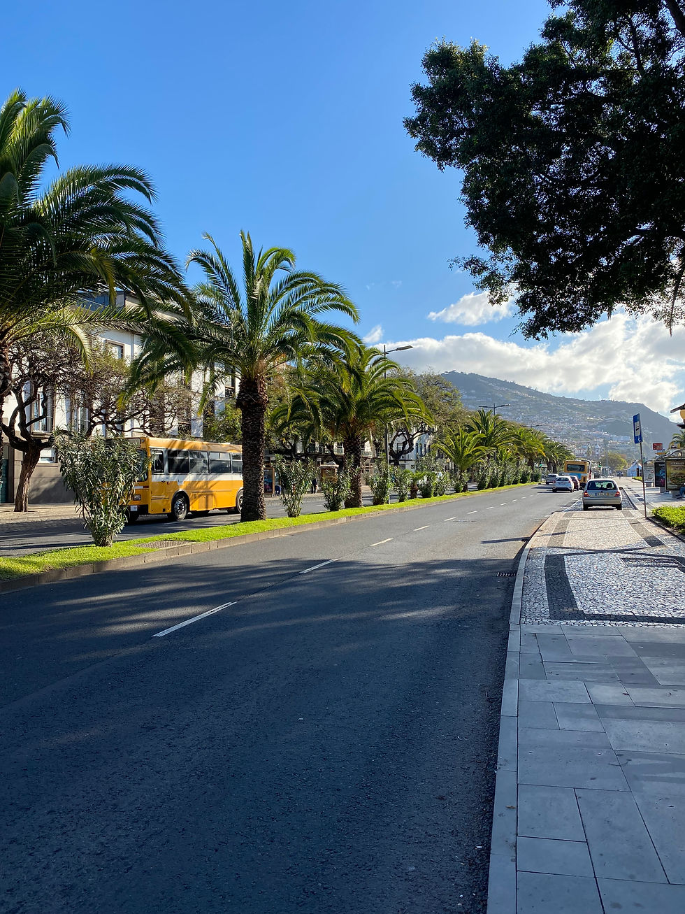 visit Madeira, Portugal’s island paradise