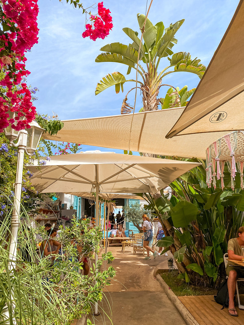 beach caffe in Valencia, Spain
