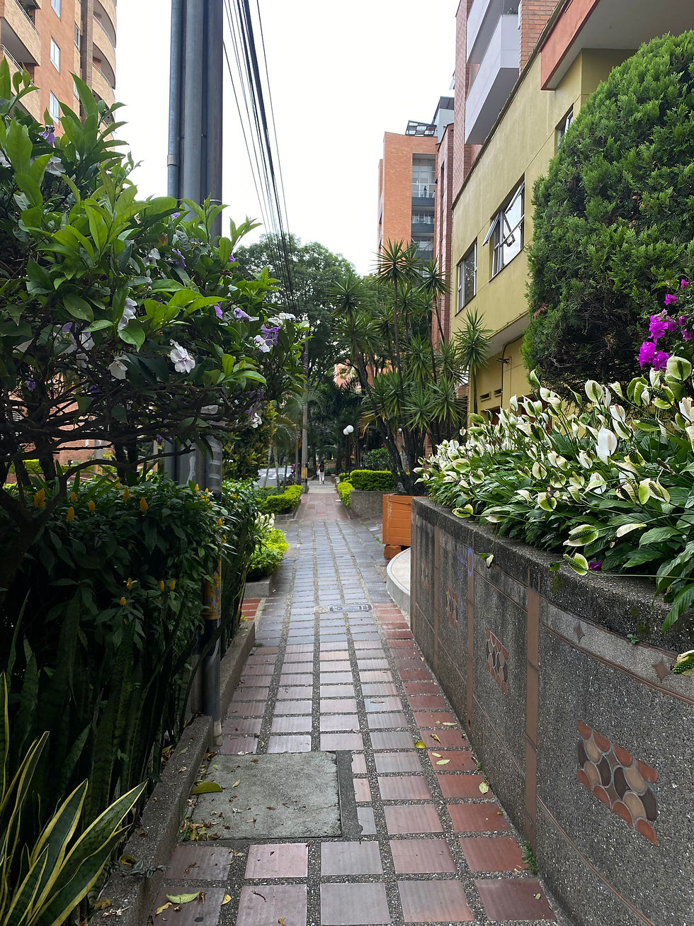 Best food and drinks in Laureles, Medellín: 15 cafés and restaurants you shouldn't miss