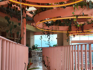 Best food and drinks in Laureles, Medellin: 15 solo traveller-friendly cafés & restaurants