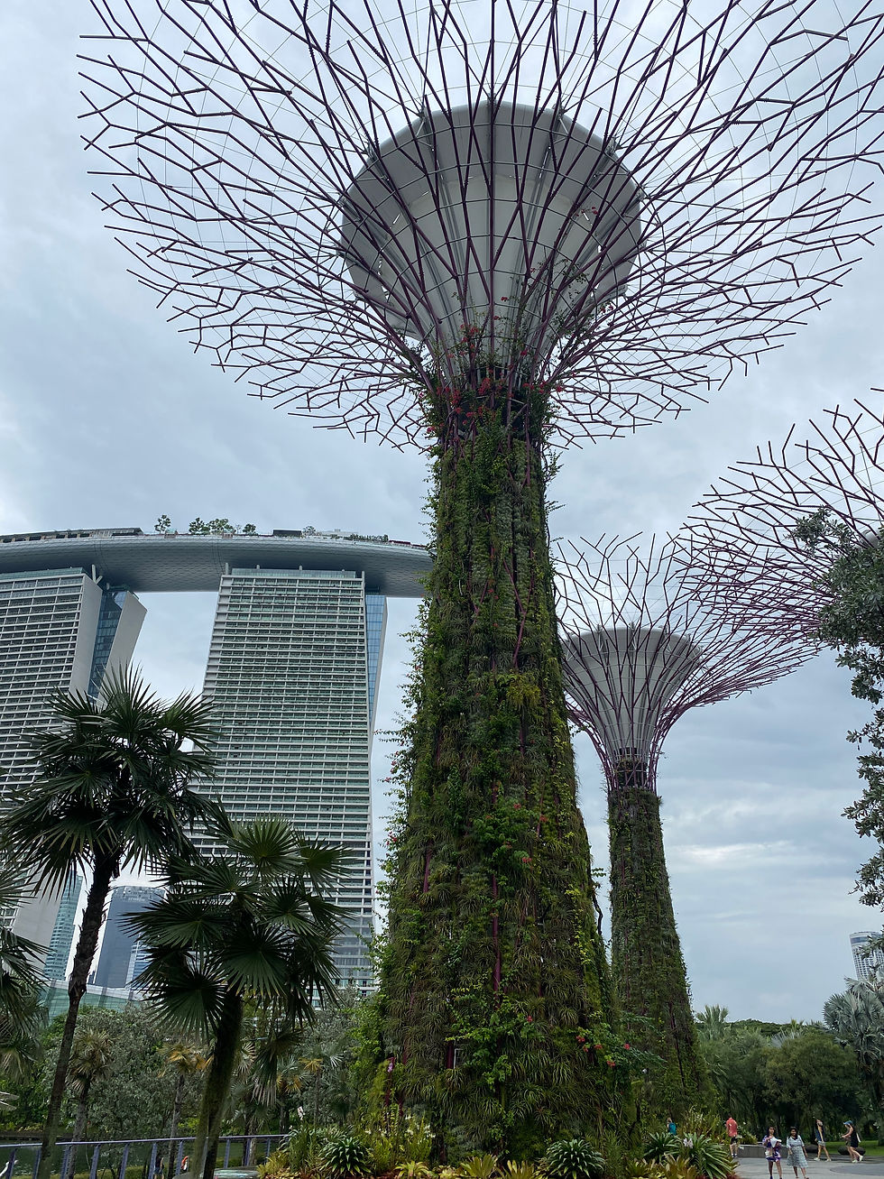 best solo travel destinations, Singapore