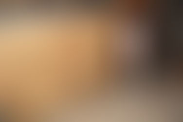 Restaurata mappa del Castello di Lonigo