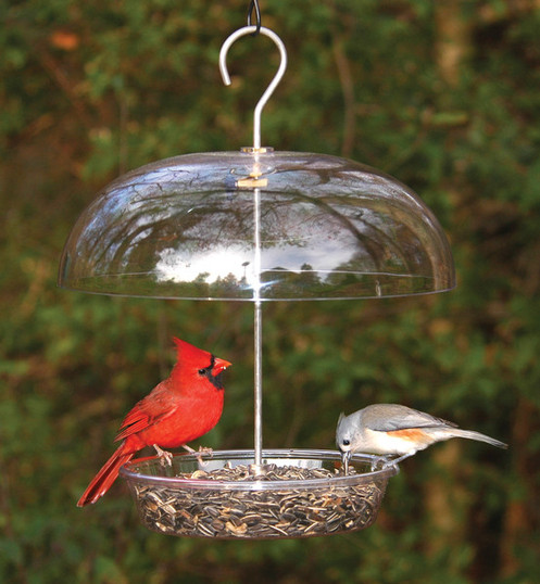 Aspects Vista Dome 278 Bird Feeder