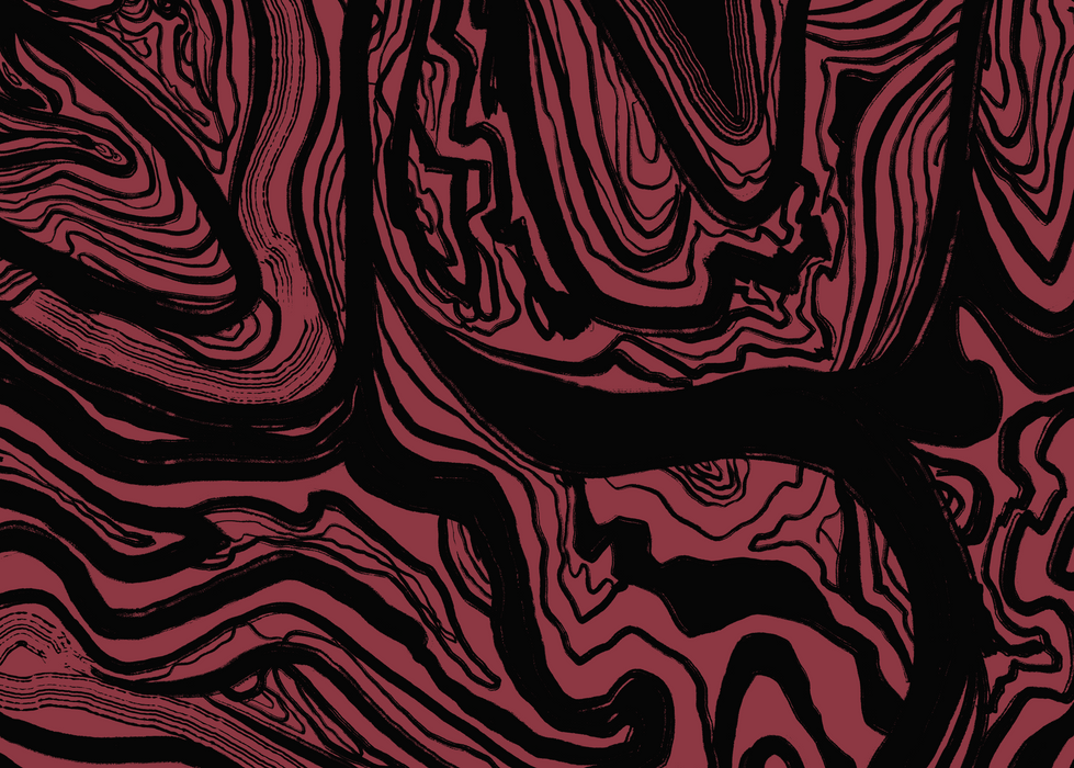 Abstract black lines on maroon background. Organic forms creating texture and depth.