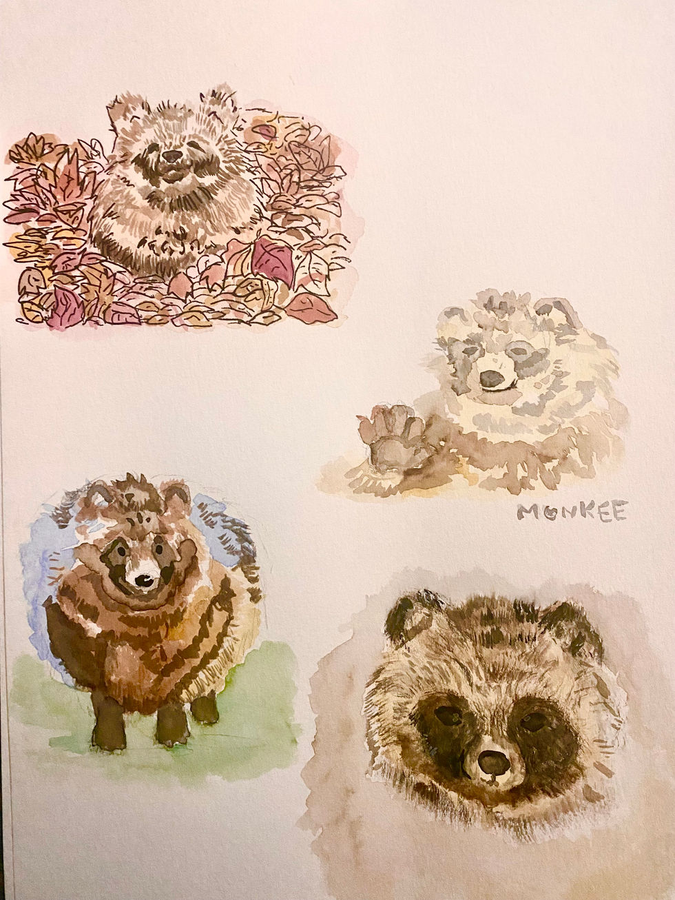 Four watercolor tanuki illustrations on white paper. Sketchbook Work. Illustrations By Mej.