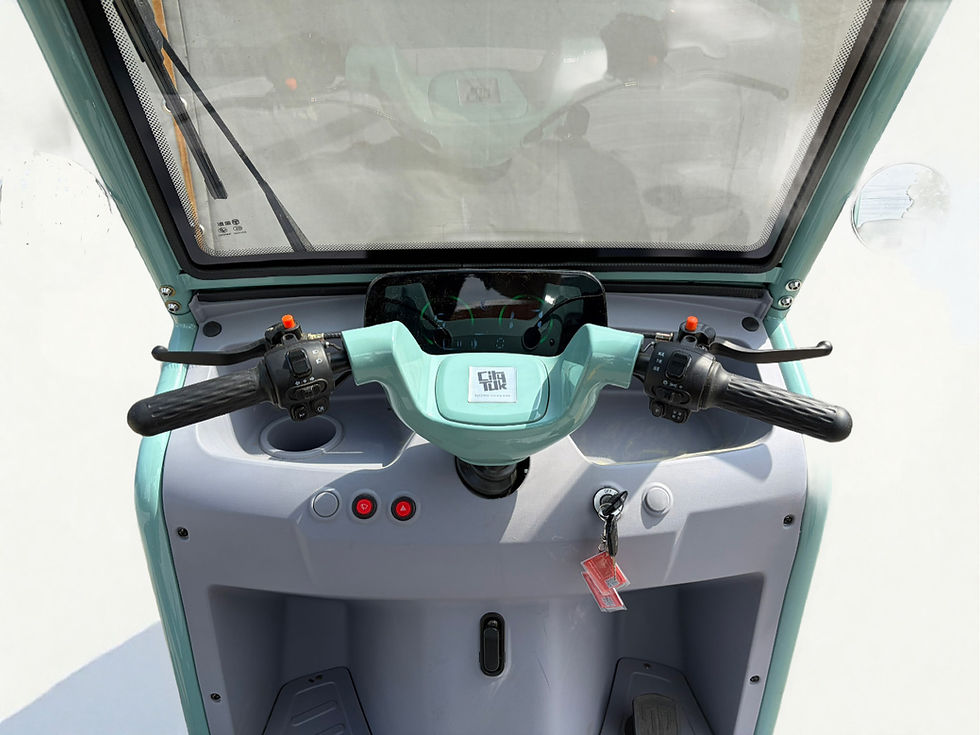 Miniaturbild: CityTuk - Canopy - Pistazie
