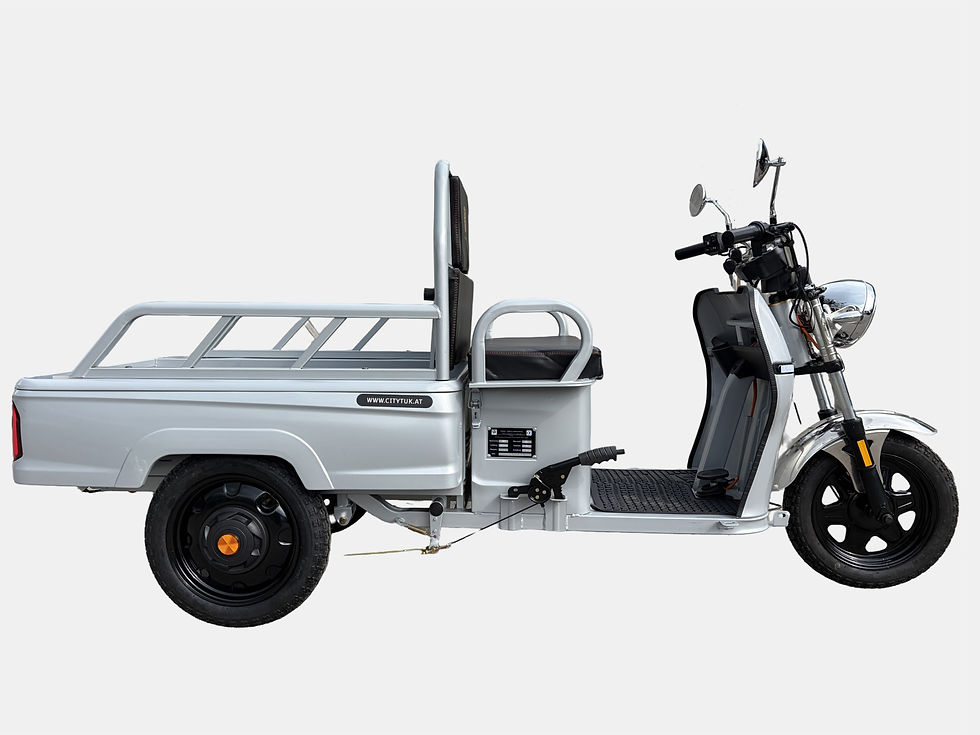 Miniaturbild: CityTuk - Lunaria - Standard