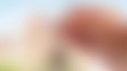 我希望以信托(Trust)形式在纽约市购房,有哪些事项需要注意呢?