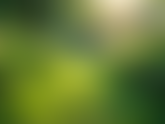 The Importance of Sustainable Living in Today's World