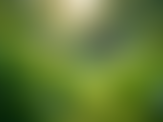 The Importance of Sustainable Living in Today's World