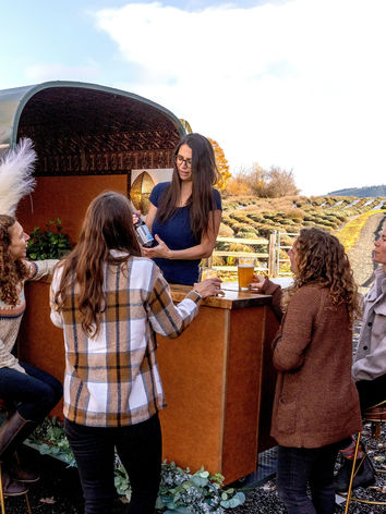 Mobile Bar Bar