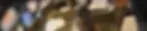 hoyt-banner.webp