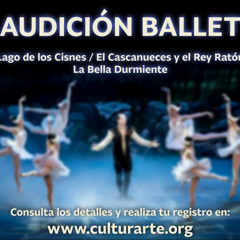 Audicion Ballet 
