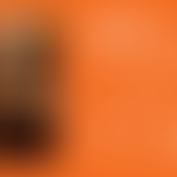 Feria Internacional del Libro del Palacio de Minería cumple 42 años en 2021