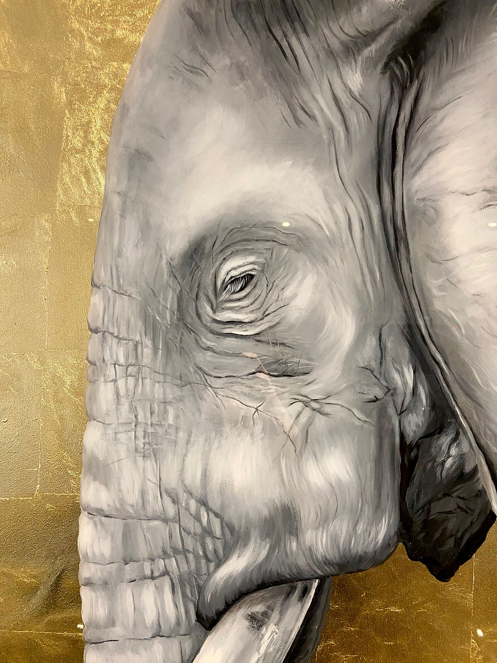 Thumbnail: AFRICAN GIANT 120 x 140 cm