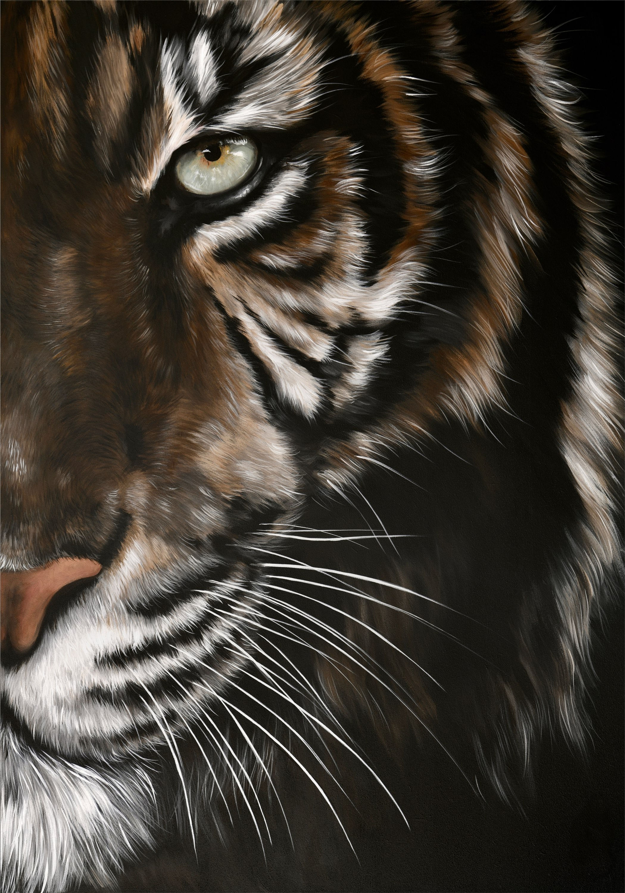 TIGER’S EYE LIMITED EDITION PRINT 73 x 100 cm €1.500,-