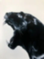 Thumbnail: ROARING PANTHER 100 x 70 cm
