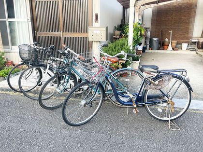 bicycles.jpg