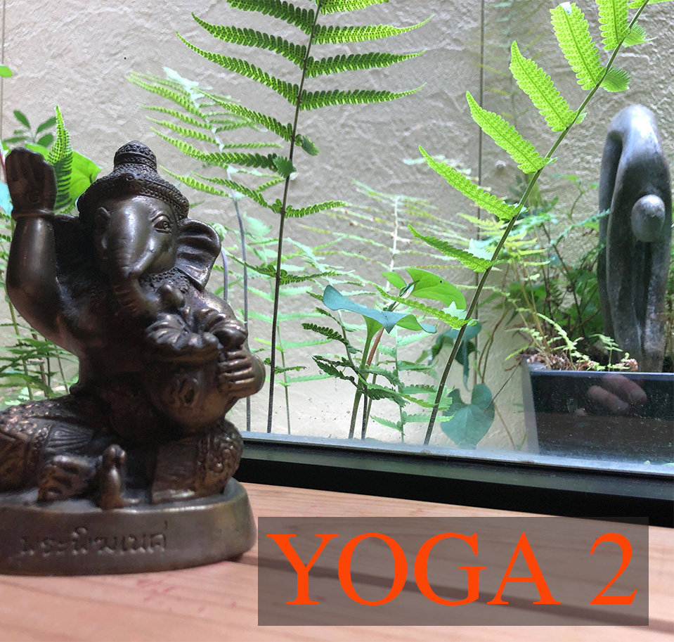 Yoga 2 ( studio and online )の写真(静岡県焼津市)