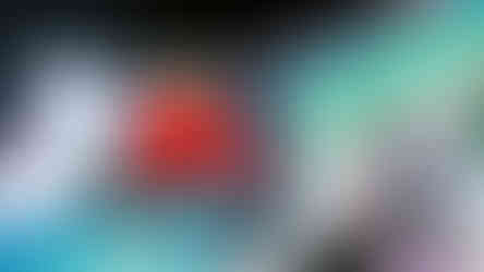 DETAIL SHOT 1