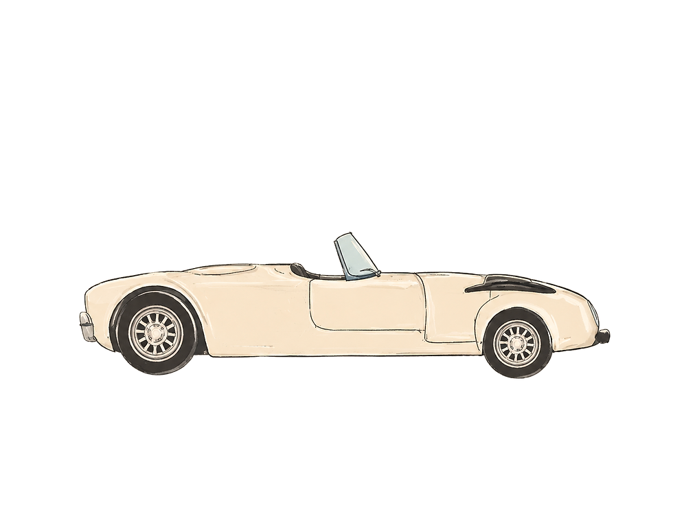 auto.png