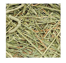 first cut timothy hay.jpg