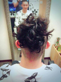 16939607_1632056160141467_24241708688453