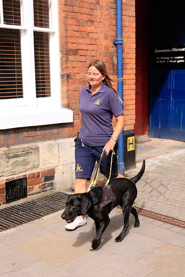 blind-woman-walking-along-a-street-with-her-black-labrador-guide-dog-BTAB68.jpg