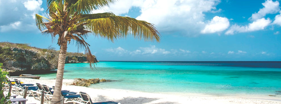 shuttle taxi quintana roo