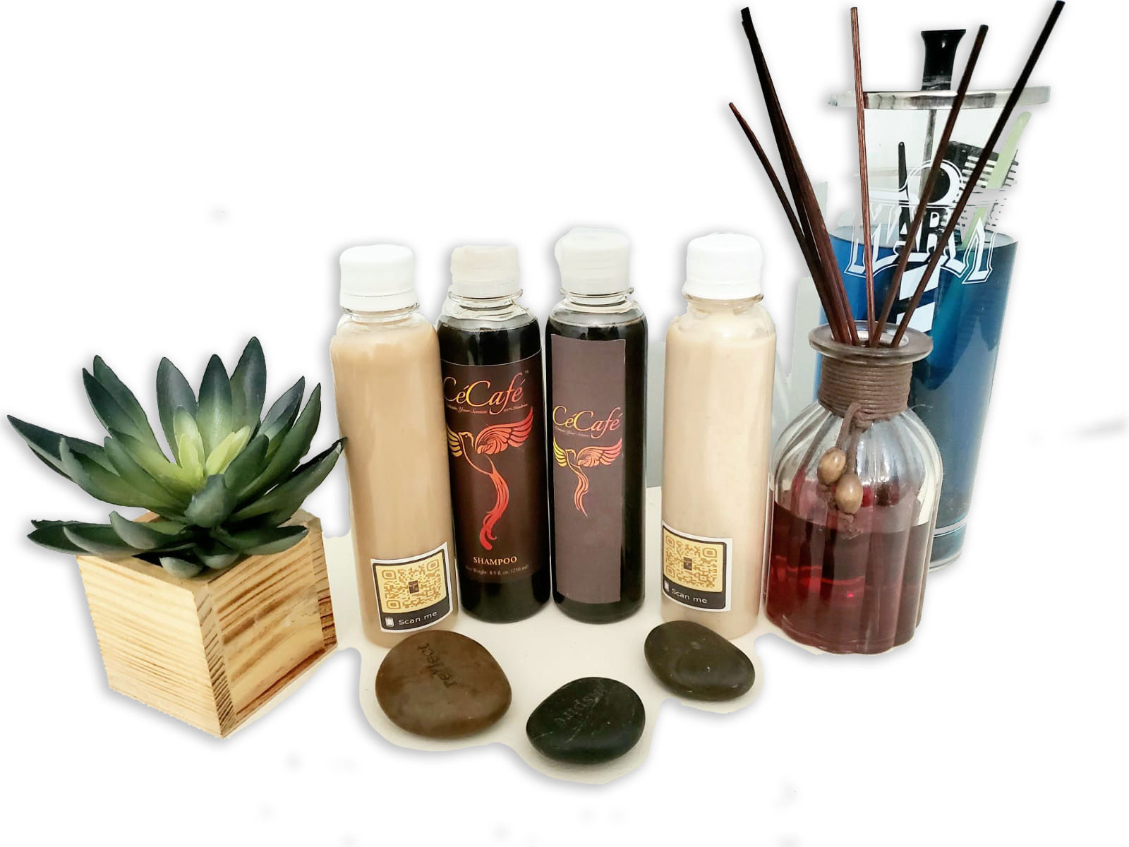 Coffee Infused Shampoo