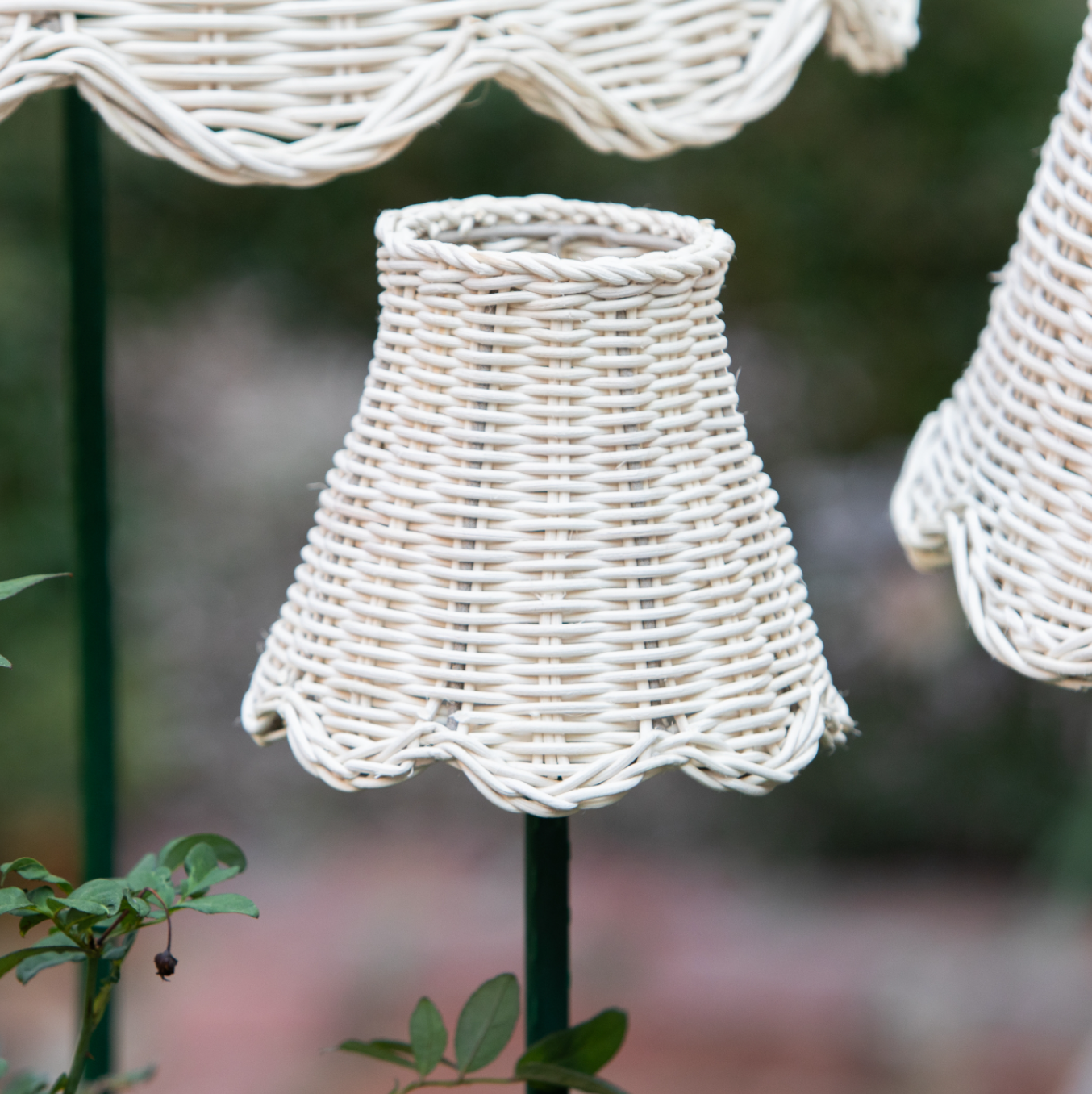 Petite Scalloped Rattan Lampshade