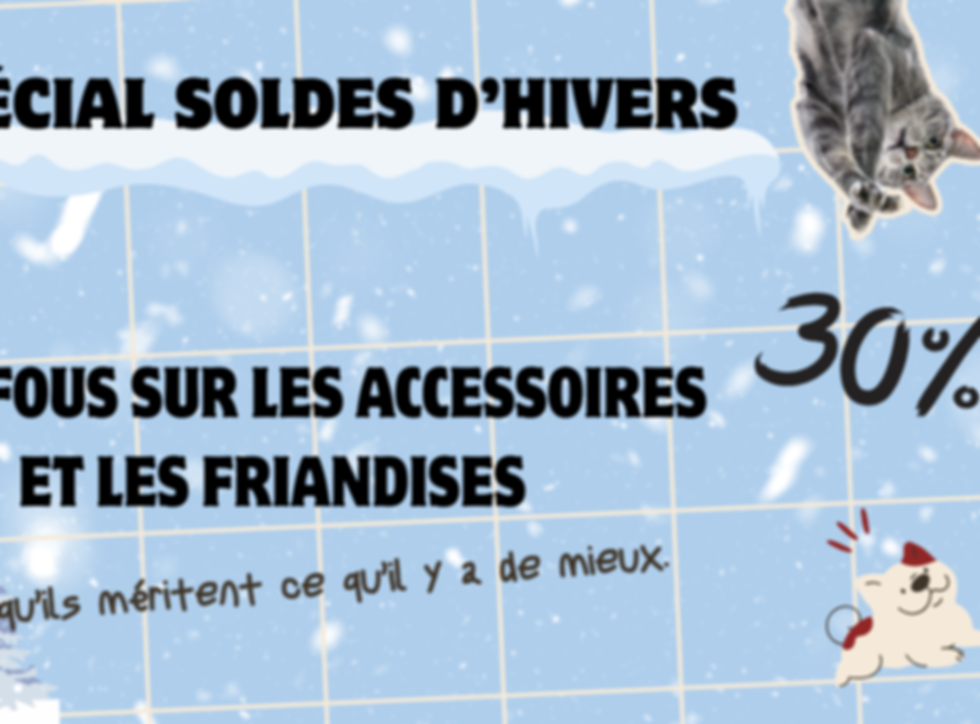 banniere site soldes 2.png