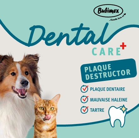 Miniature : Plaque destructor 80g - BUBIMEX
