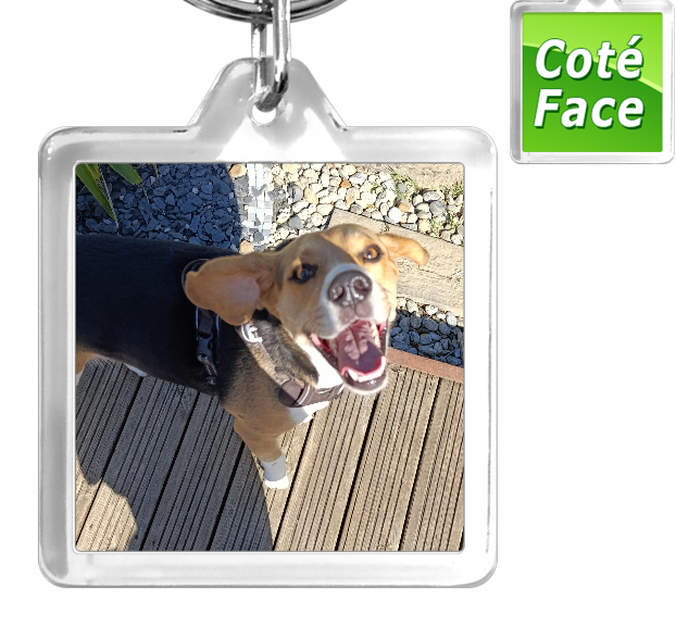 Miniature : Porte-clé photos personnalisé