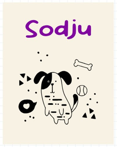 Miniature : Protège carnet de santé personnalisé pour chien & chat