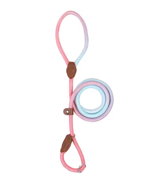 Miniature : Laisse Lasso chien corde nylon