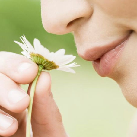 Anosmia-pierderea mirosului.