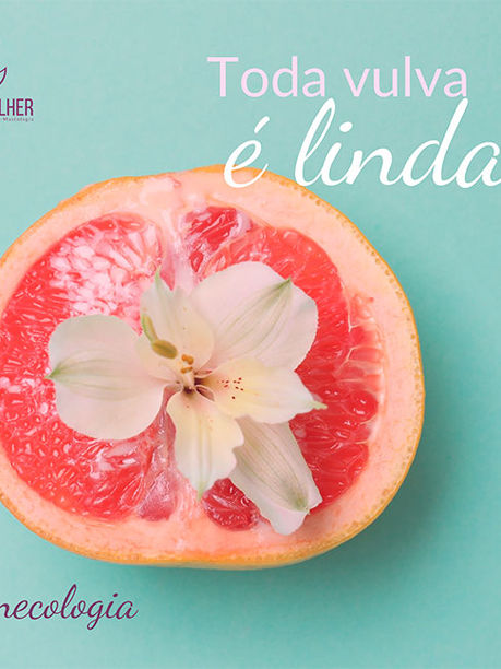 Vulva feia não existe, todas são lindas!