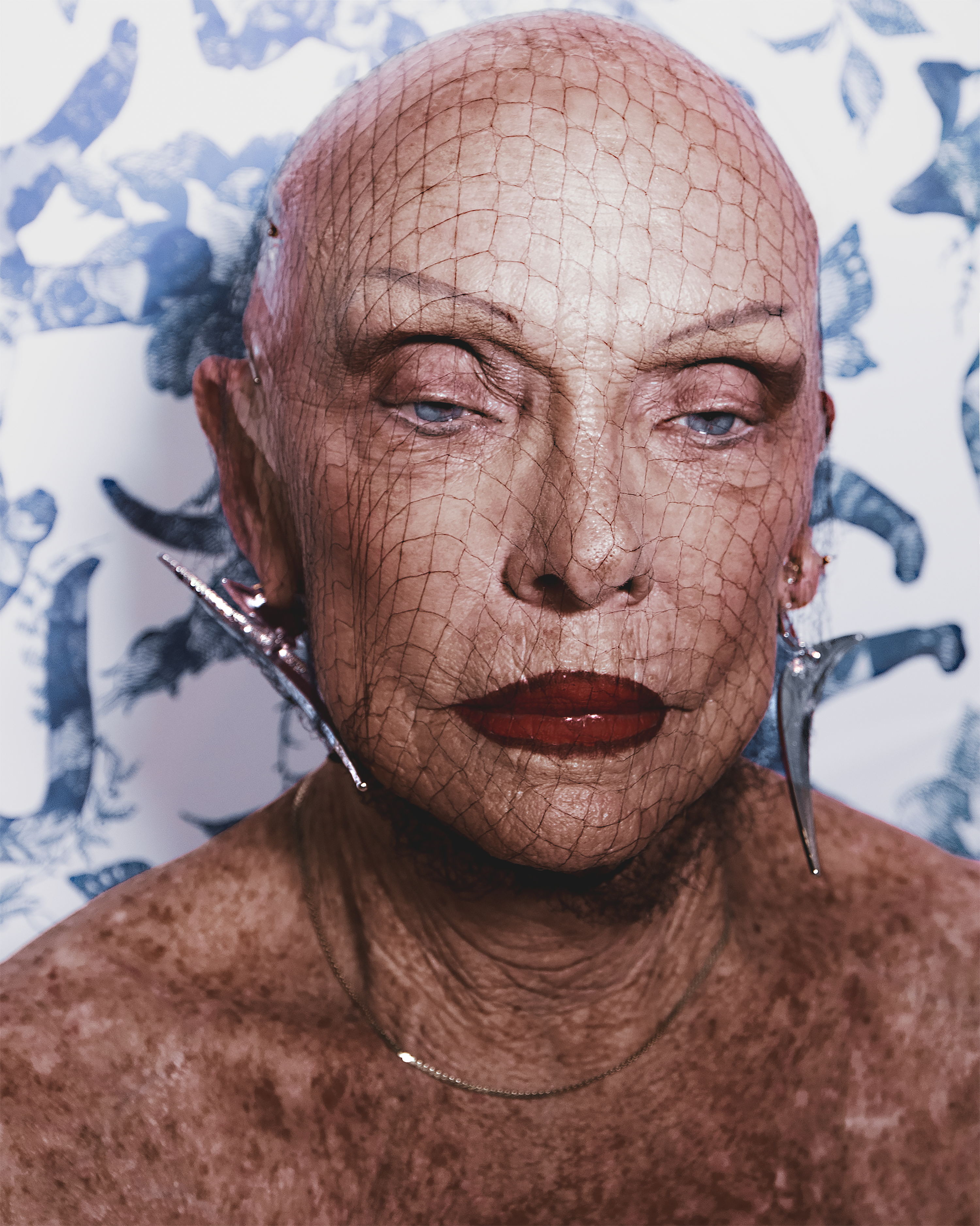 Sphynx | Not Framed,  40 x 32 in Edition 1 of 3