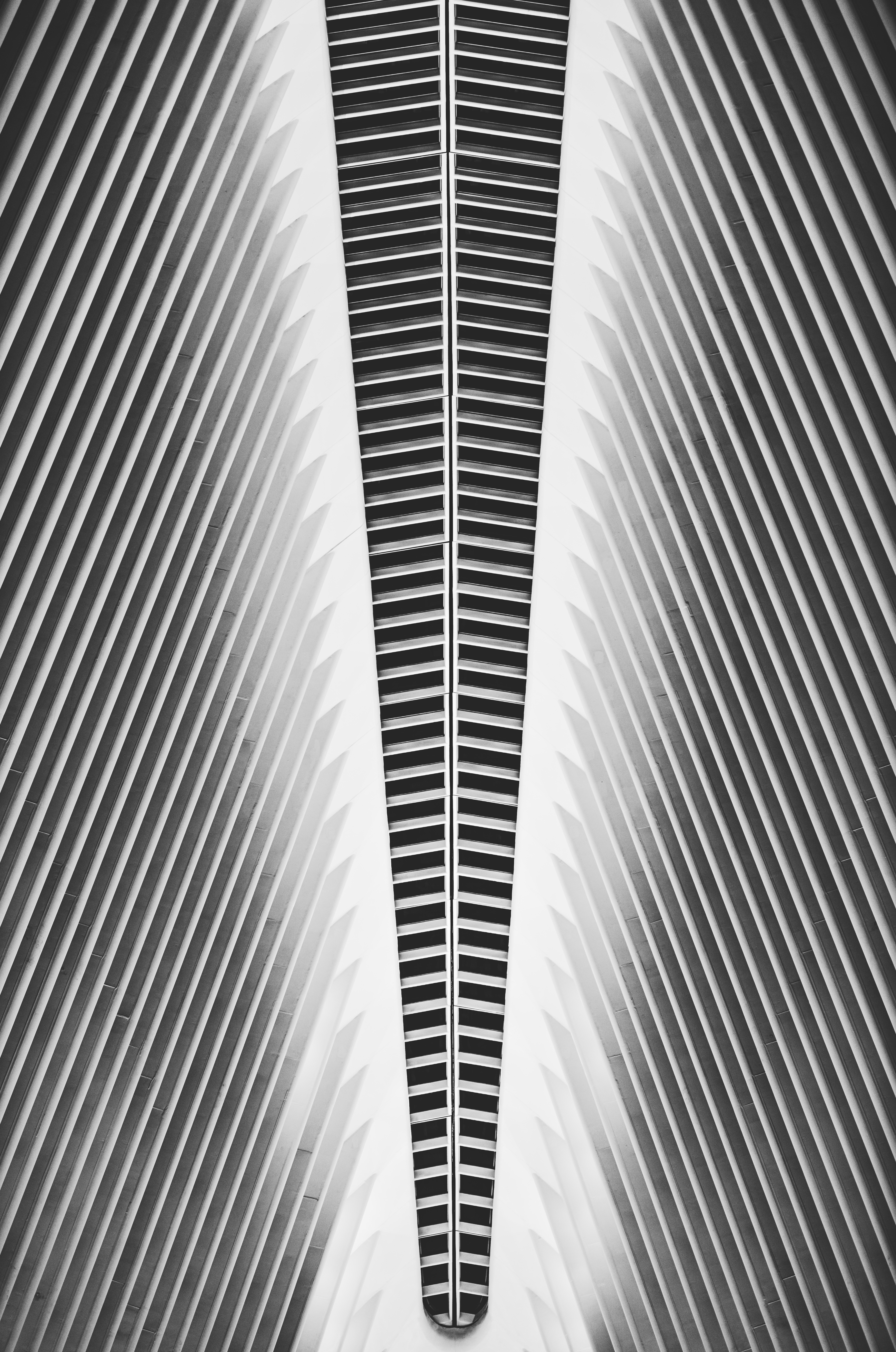Cityscape 22