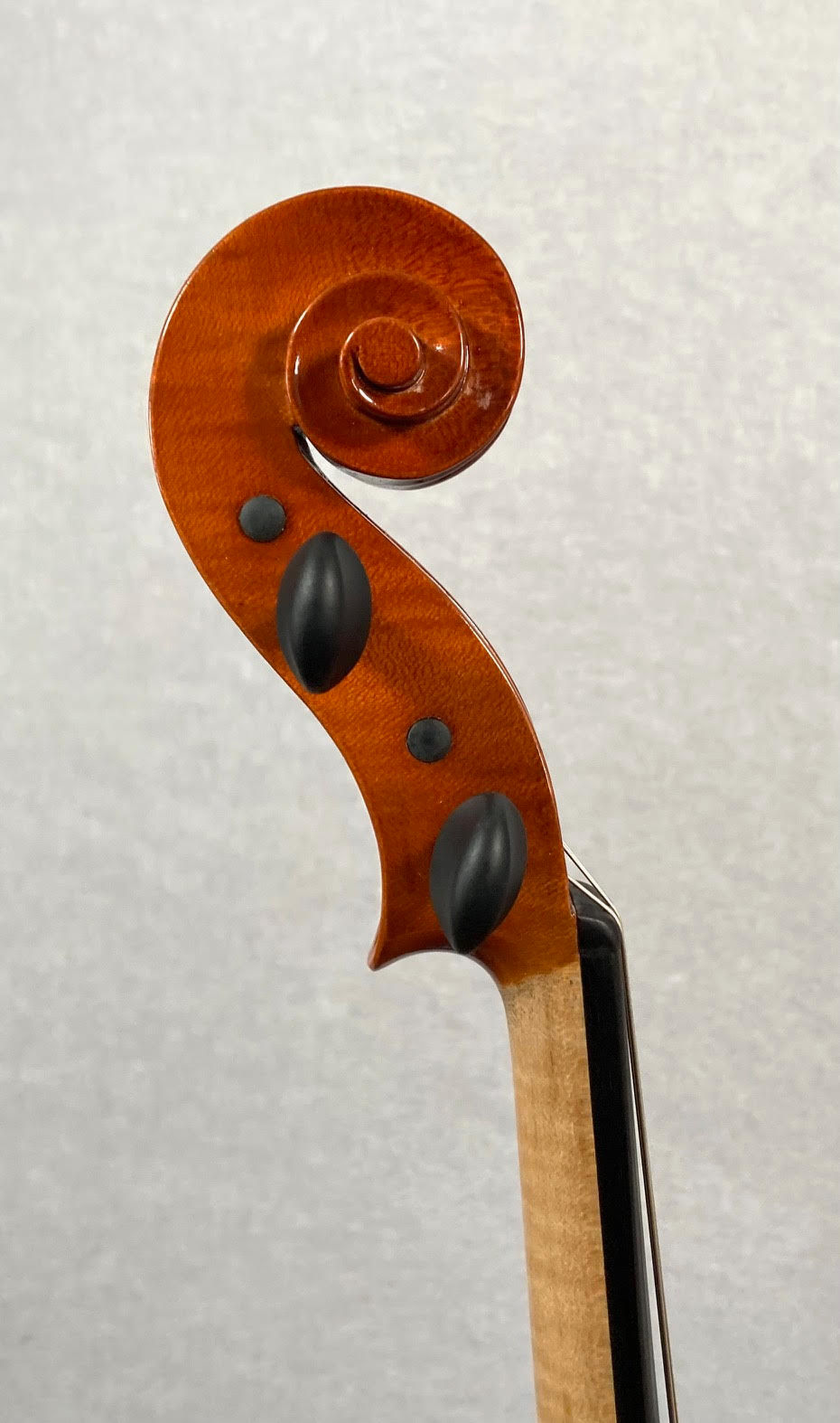 Thumbnail: VIOLA | Dennis Witt, Hobart, 2020