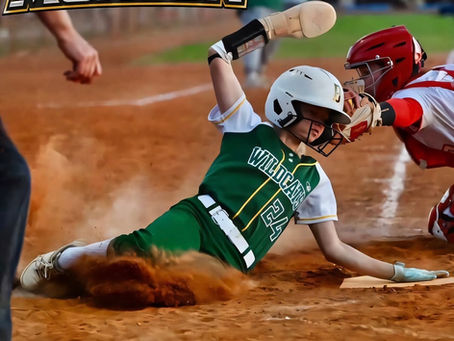 What a Youth Softball Development Program Builds