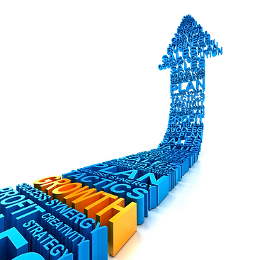 Growing stronger businesses