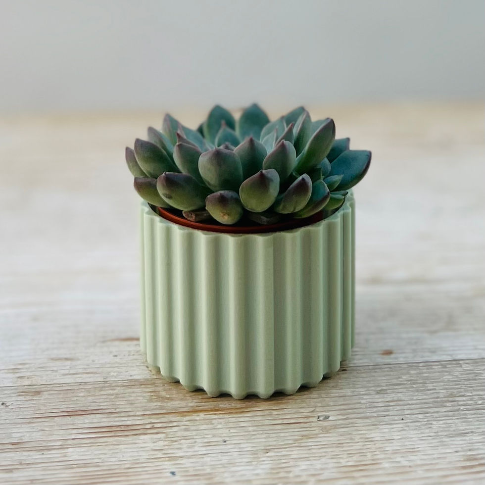 Thumbnail: Mini Solaire Plant Pot