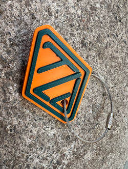 TLD Logo Key Ring