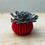 Thumbnail: Mini Florea Plant Pot